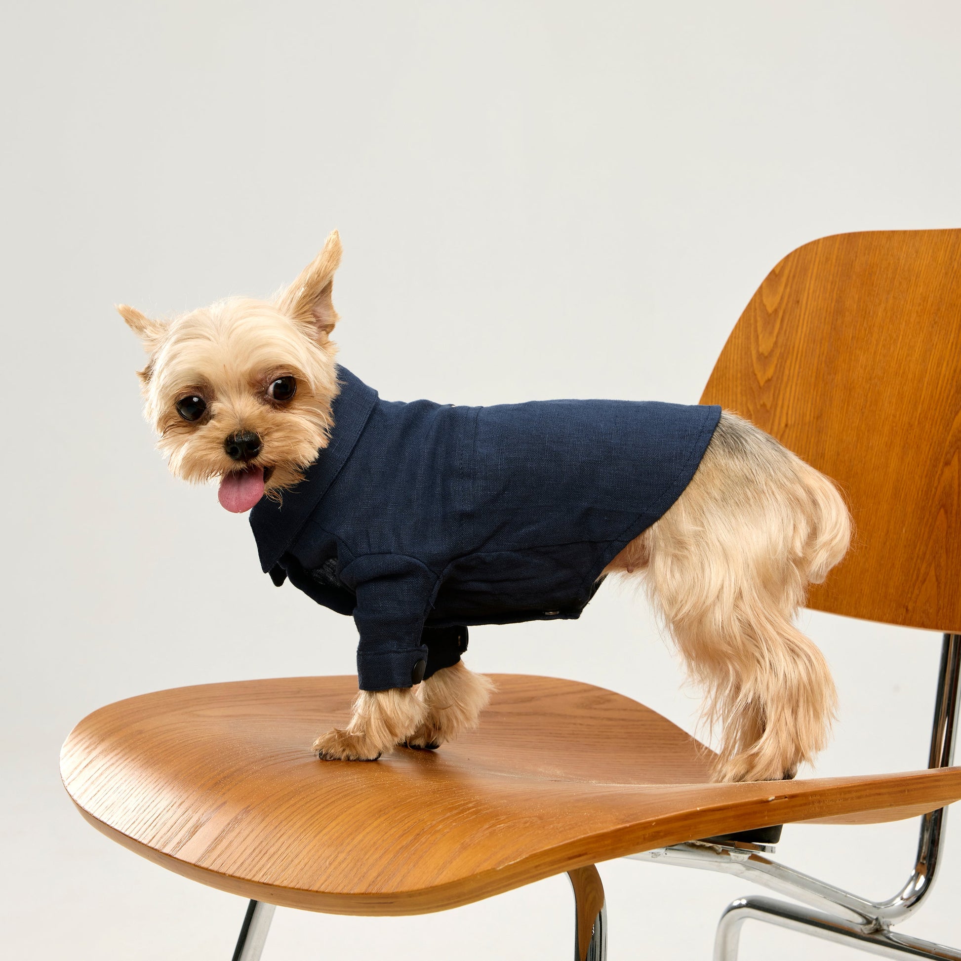 Pure Linen Shirt with Golden Buckle