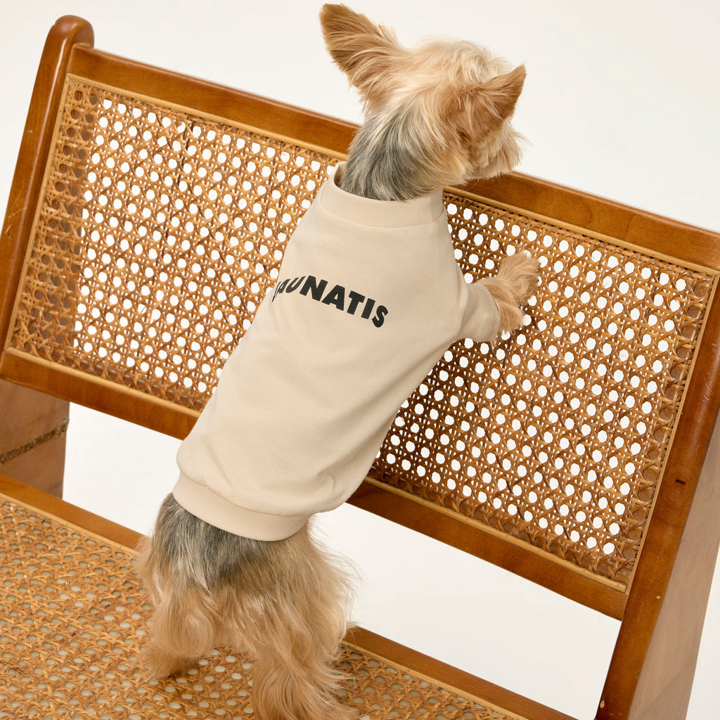 100% Cotton T-Shirt with Back Print