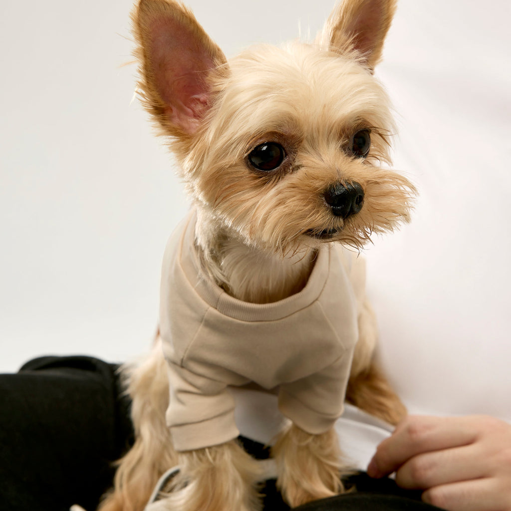 100% Cotton T-Shirt with Back Print