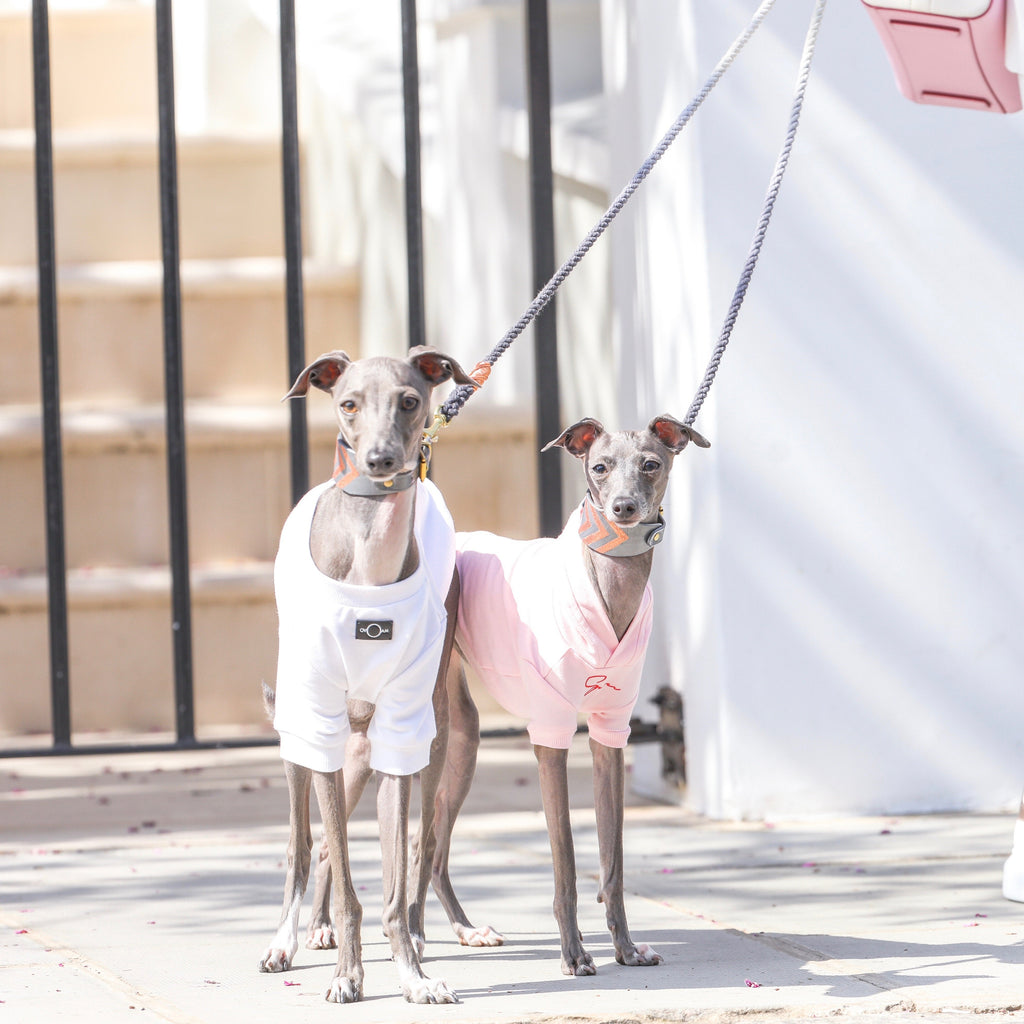 Super Hoodie in Bright Colours