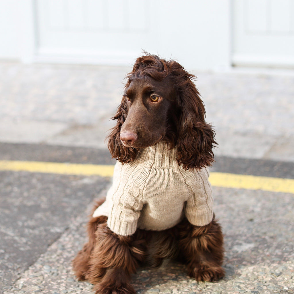 Cosy Turtleneck Knitwear