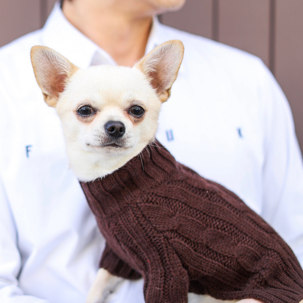 Cosy Turtleneck Knitwear