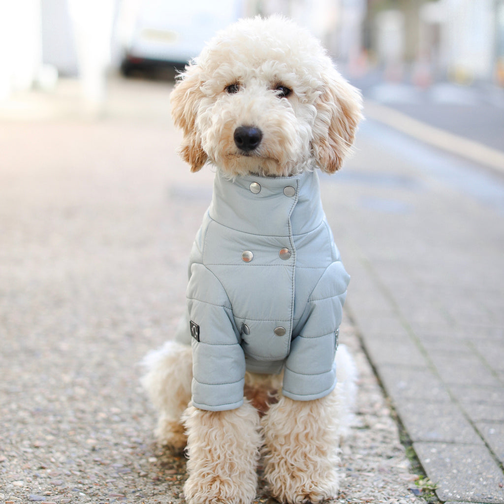 Double Button Puffer Jacket in Mint