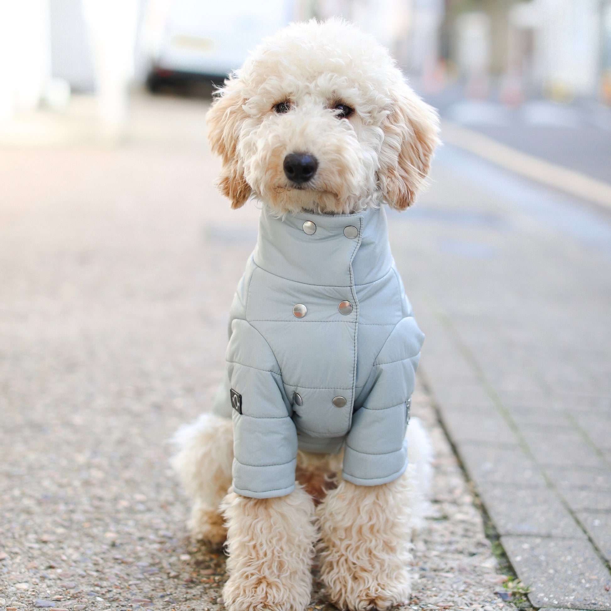 Double Button Puffer Jacket in Mint