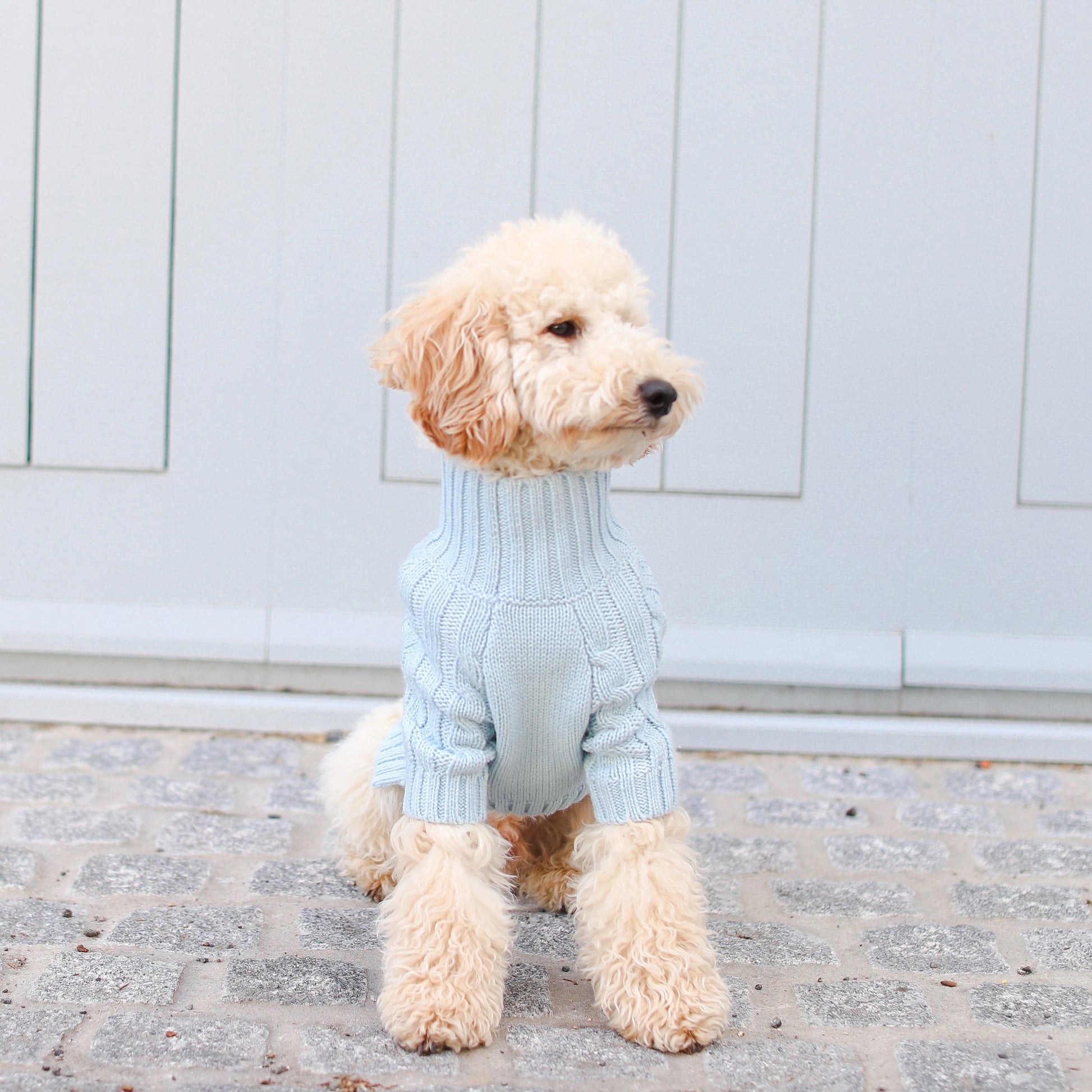 Cosy Turtleneck Knitwear