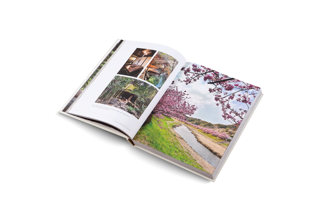 Traditional Japanese Spa and Bathing Culture Guide