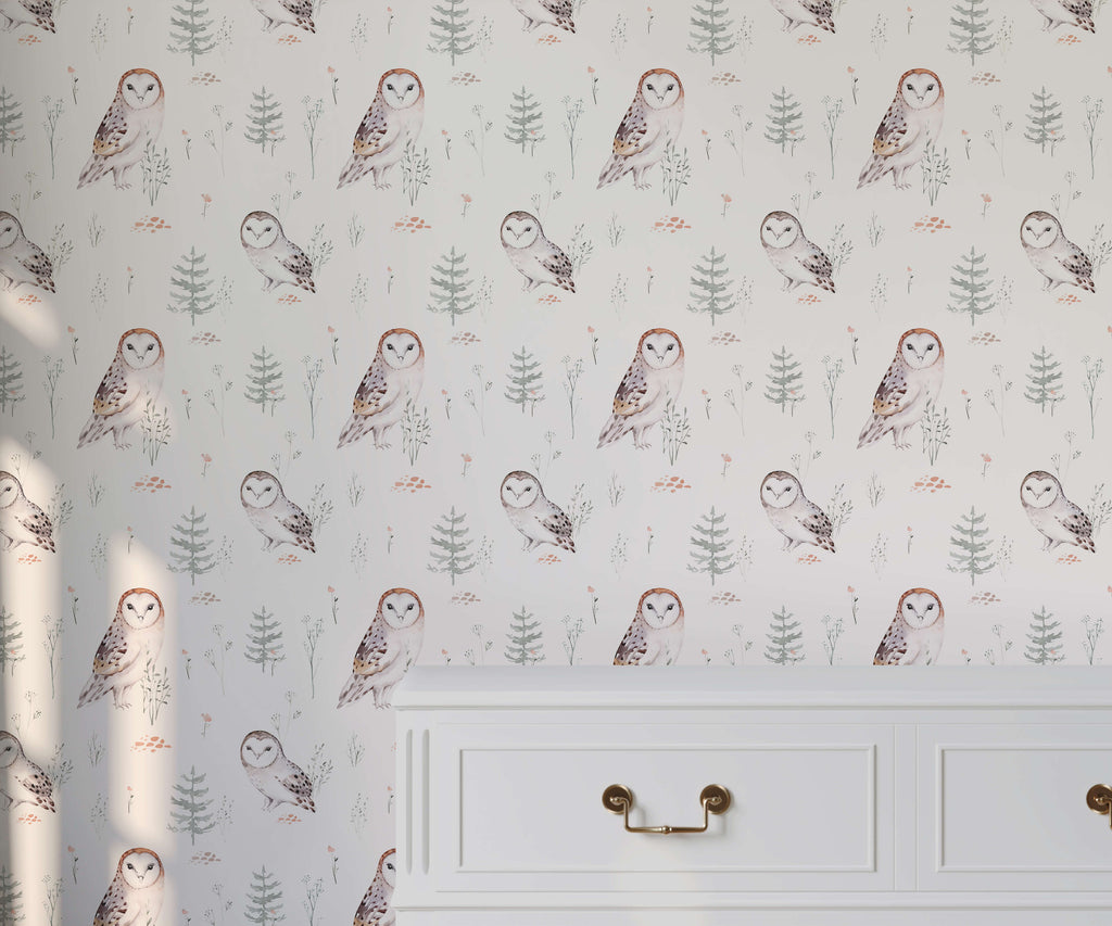 Barn Owl Watercolour Wallpaper