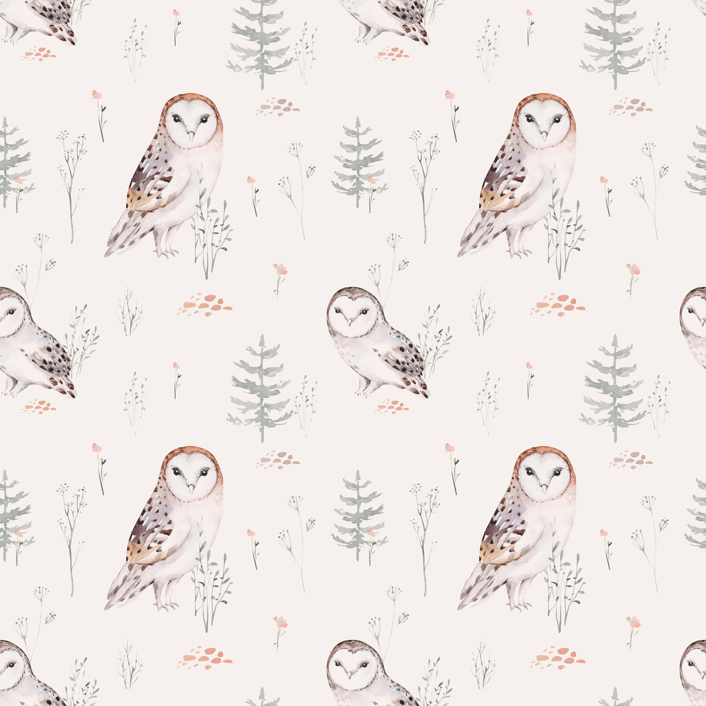 Barn Owl Watercolour Wallpaper