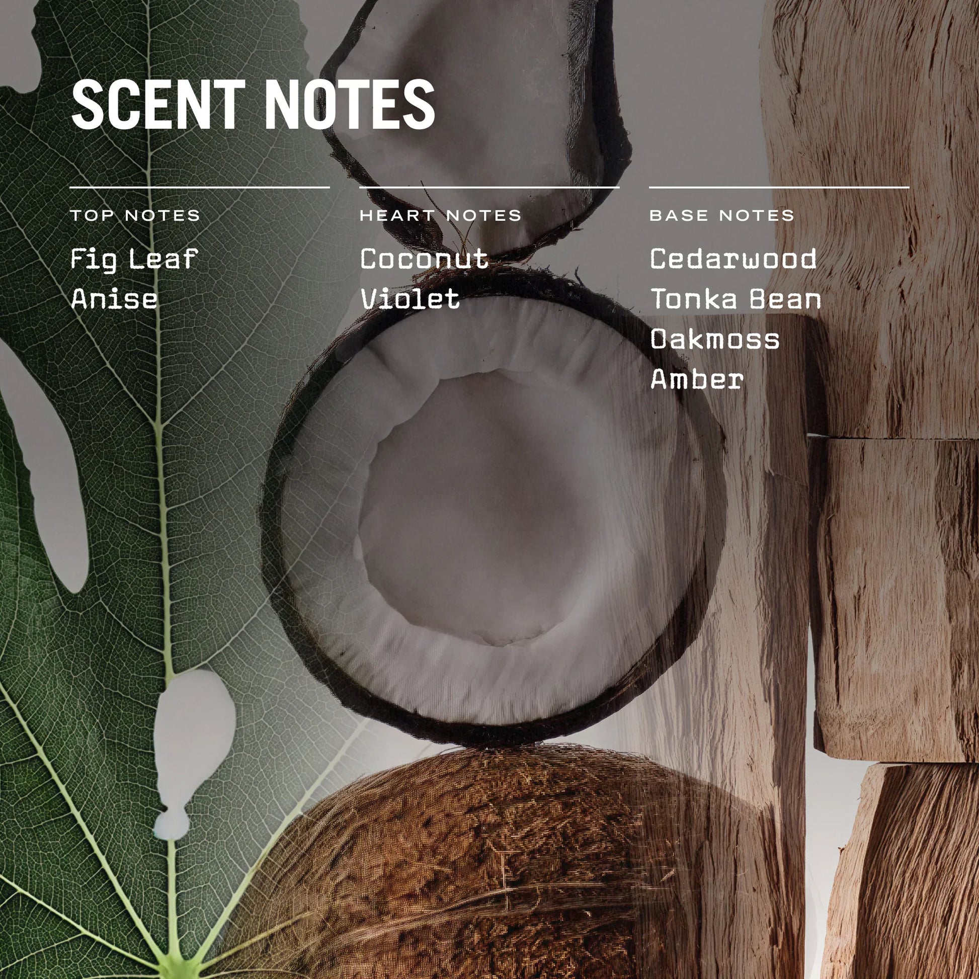 Opulence 250g Scented Candle Fig Leaf and Coconut