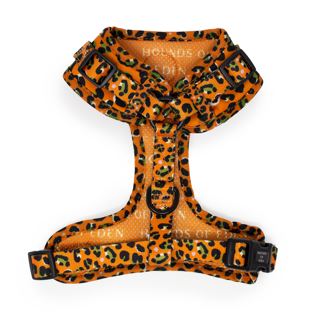 Burnt Orange Leopard Dog Harness with Extended Fit