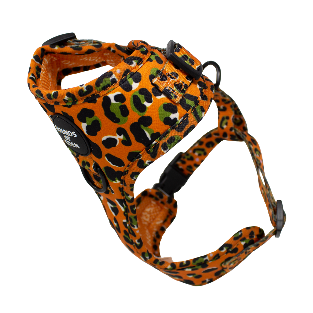 Burnt Orange Leopard Dog Harness with Extended Fit