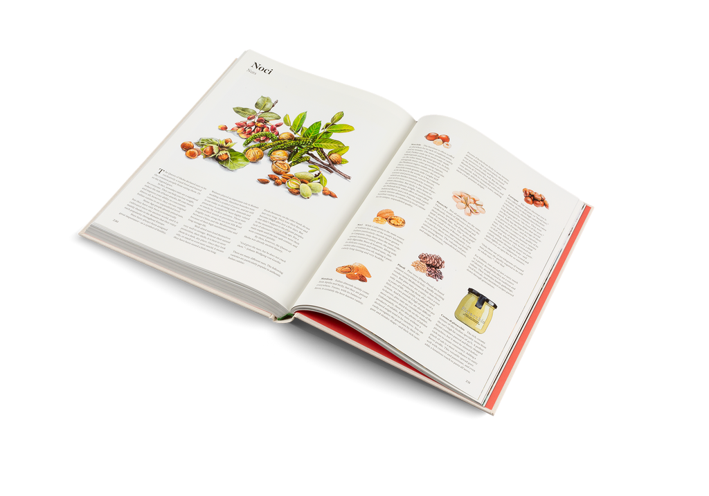 Originale Recipes and Essentials of Italian Cooking