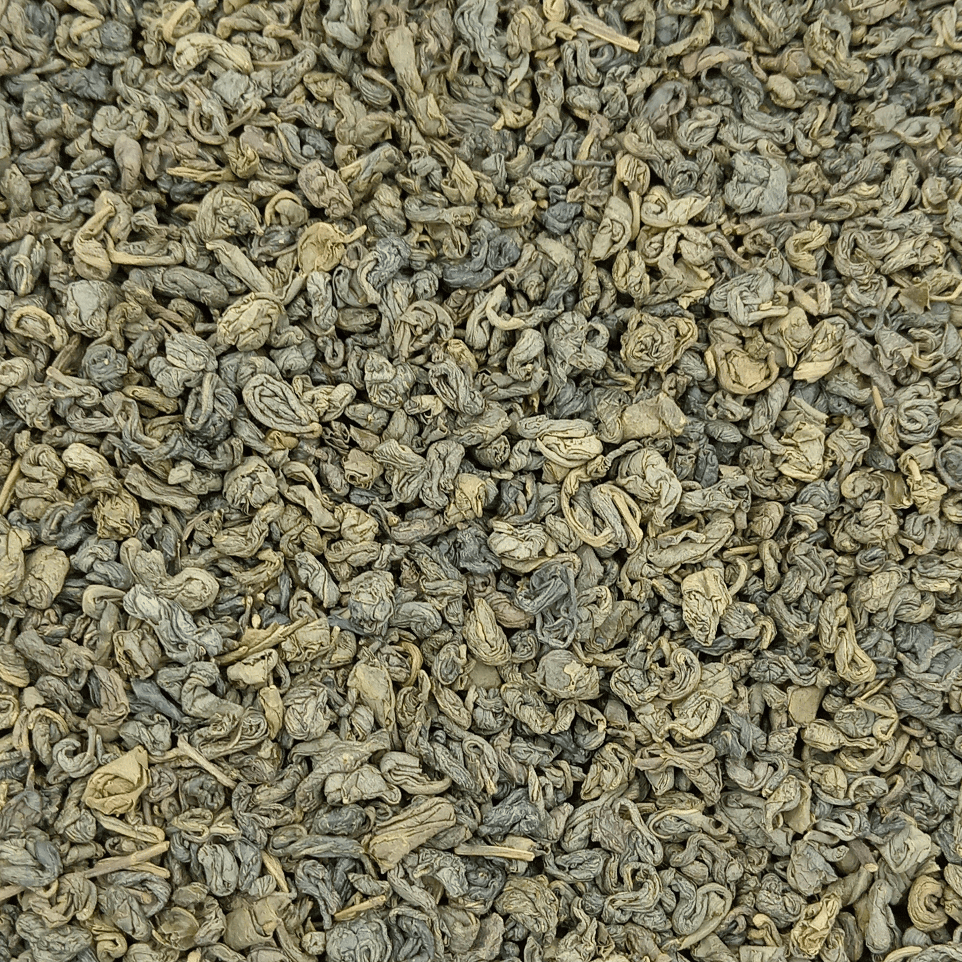 Organic Osprey Gunpowder