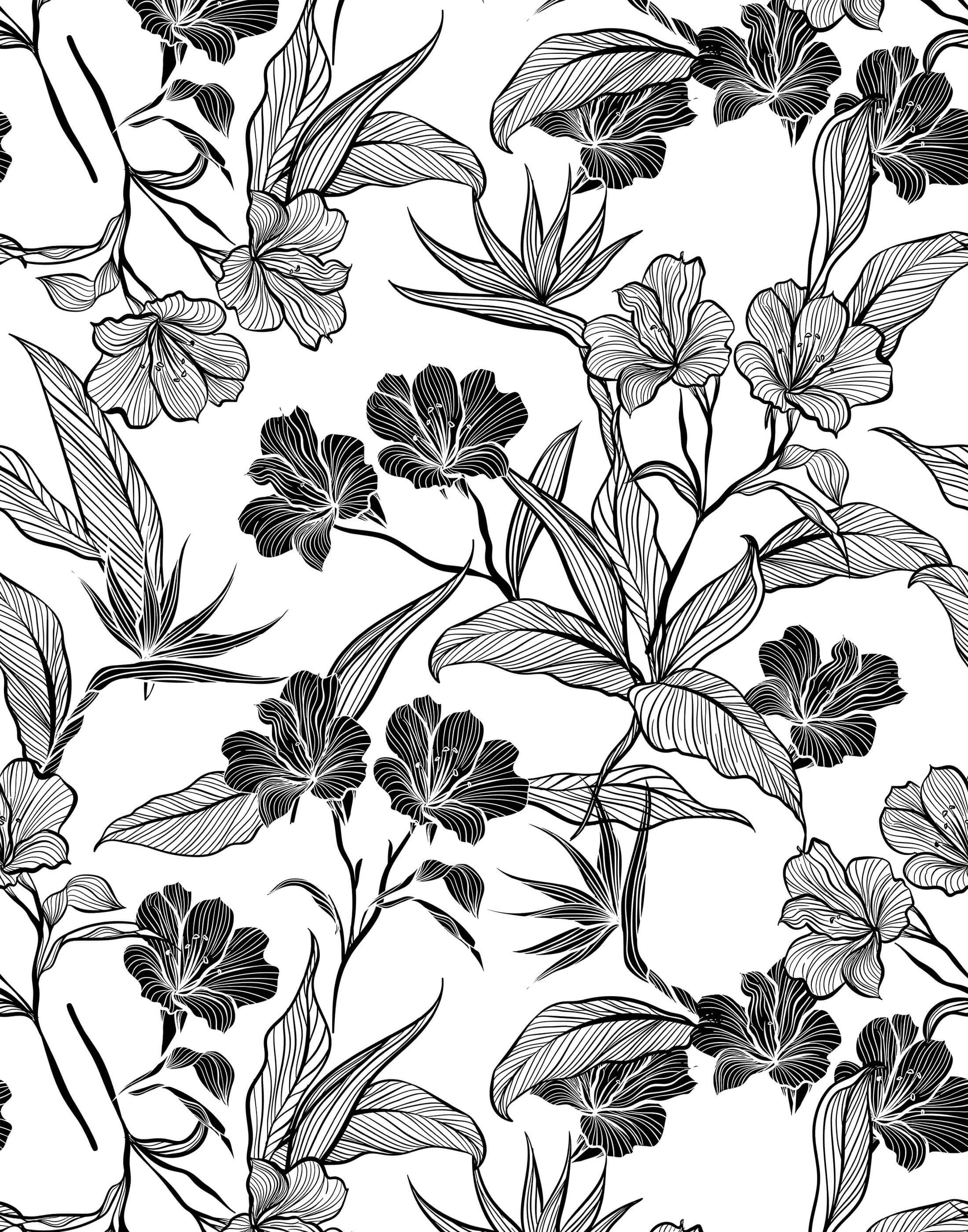 Contour Bold Floral Outline Wallpaper
