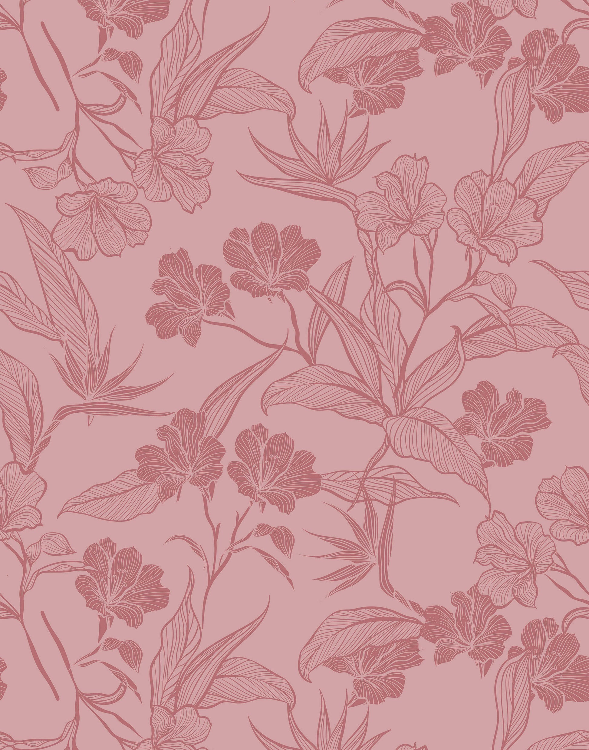 Contour Bold Floral Outline Wallpaper