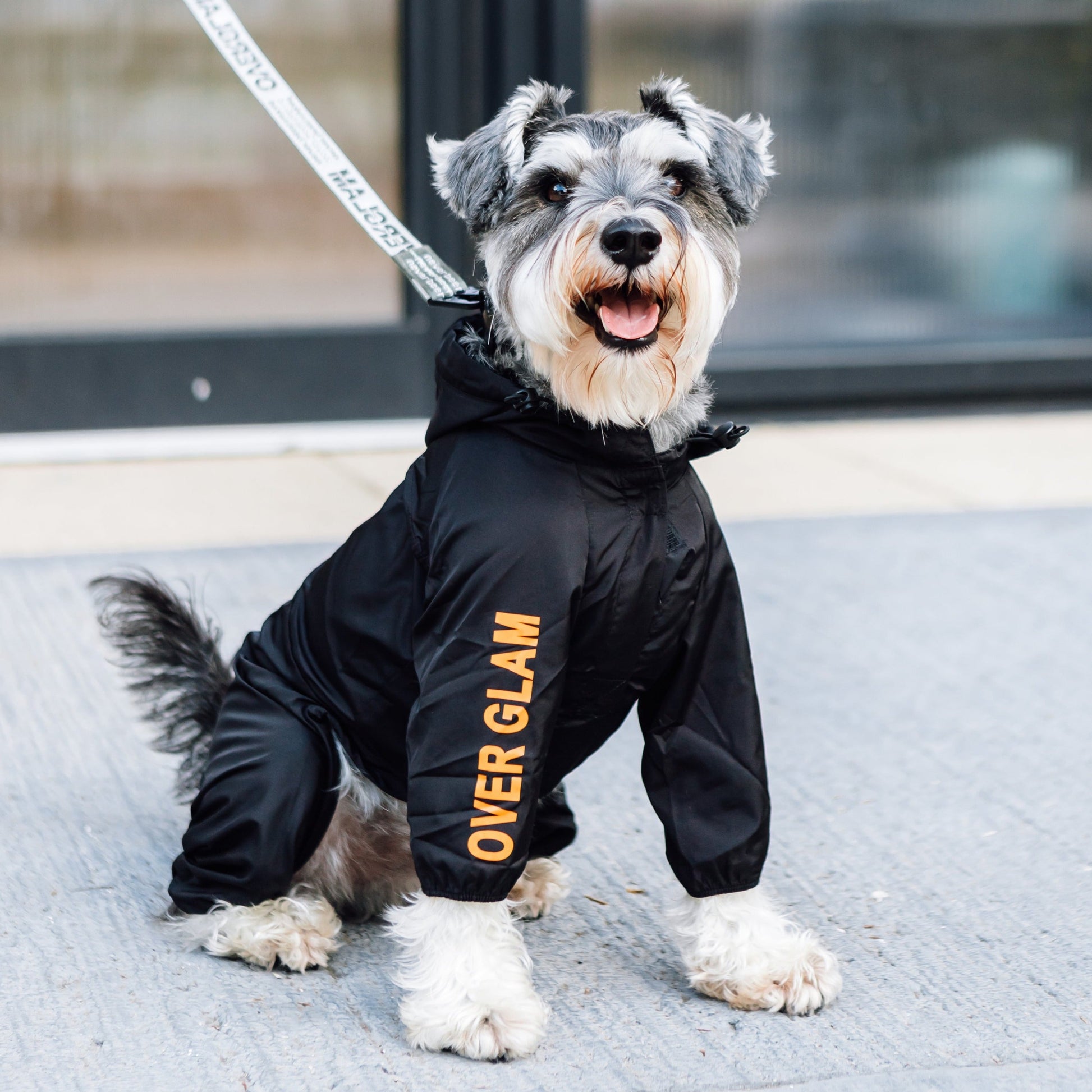 Black Waterproof Thin Coat