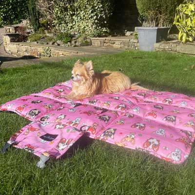 Roll and Go Signature Pink Padded Chihuahua Print Travel Mat