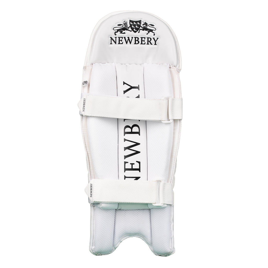 Pro Wicket-Keeping Pads