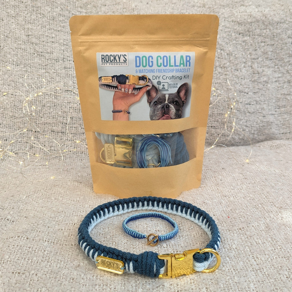 Make Your Own Dog Collar and Friendship Bracelet Craft Kit in Blue