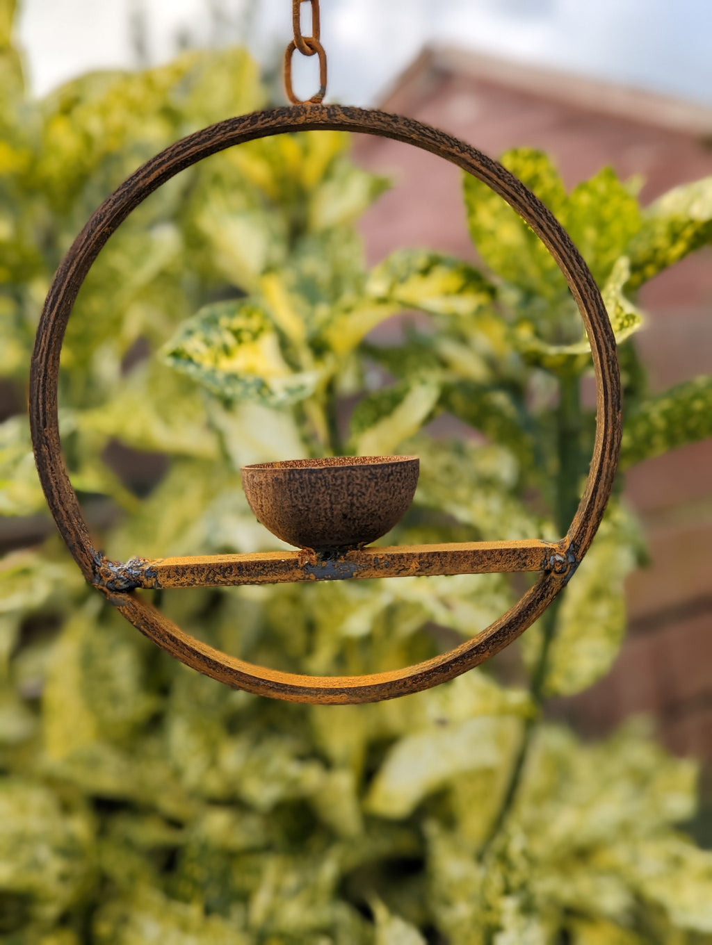 Hanging Bird Feeder