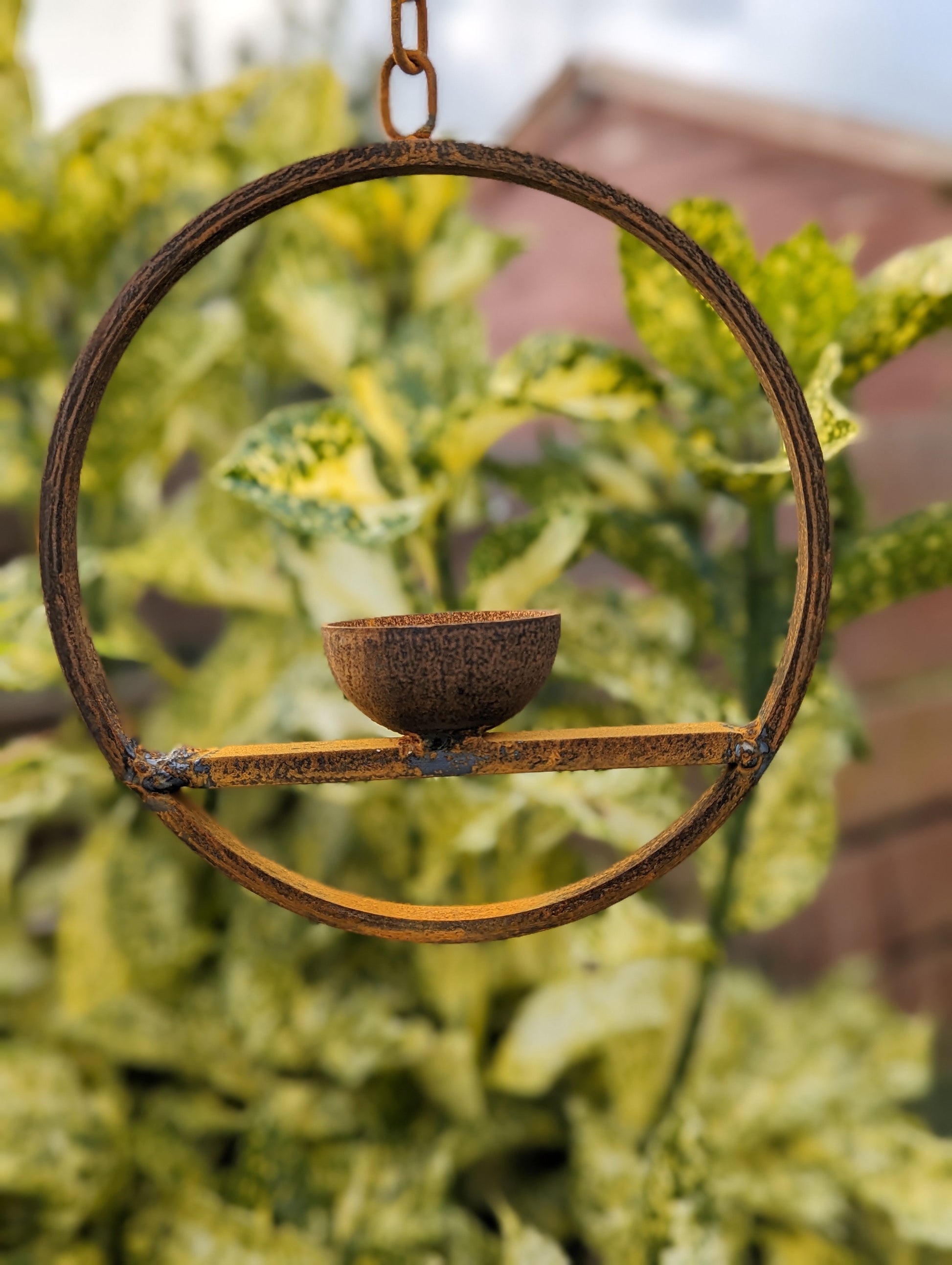 Hanging Bird Feeder
