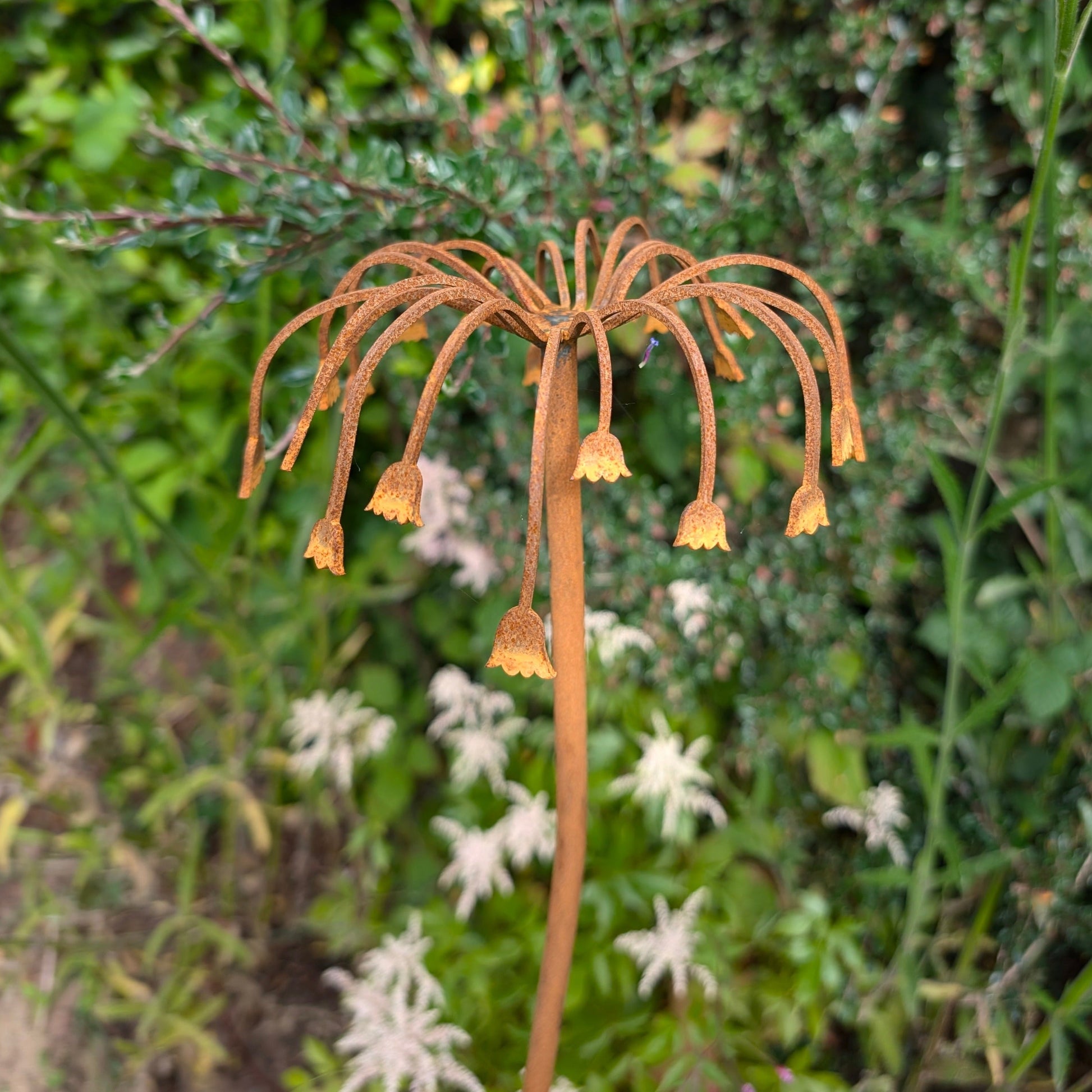Sicilian Honey Garlic Flower