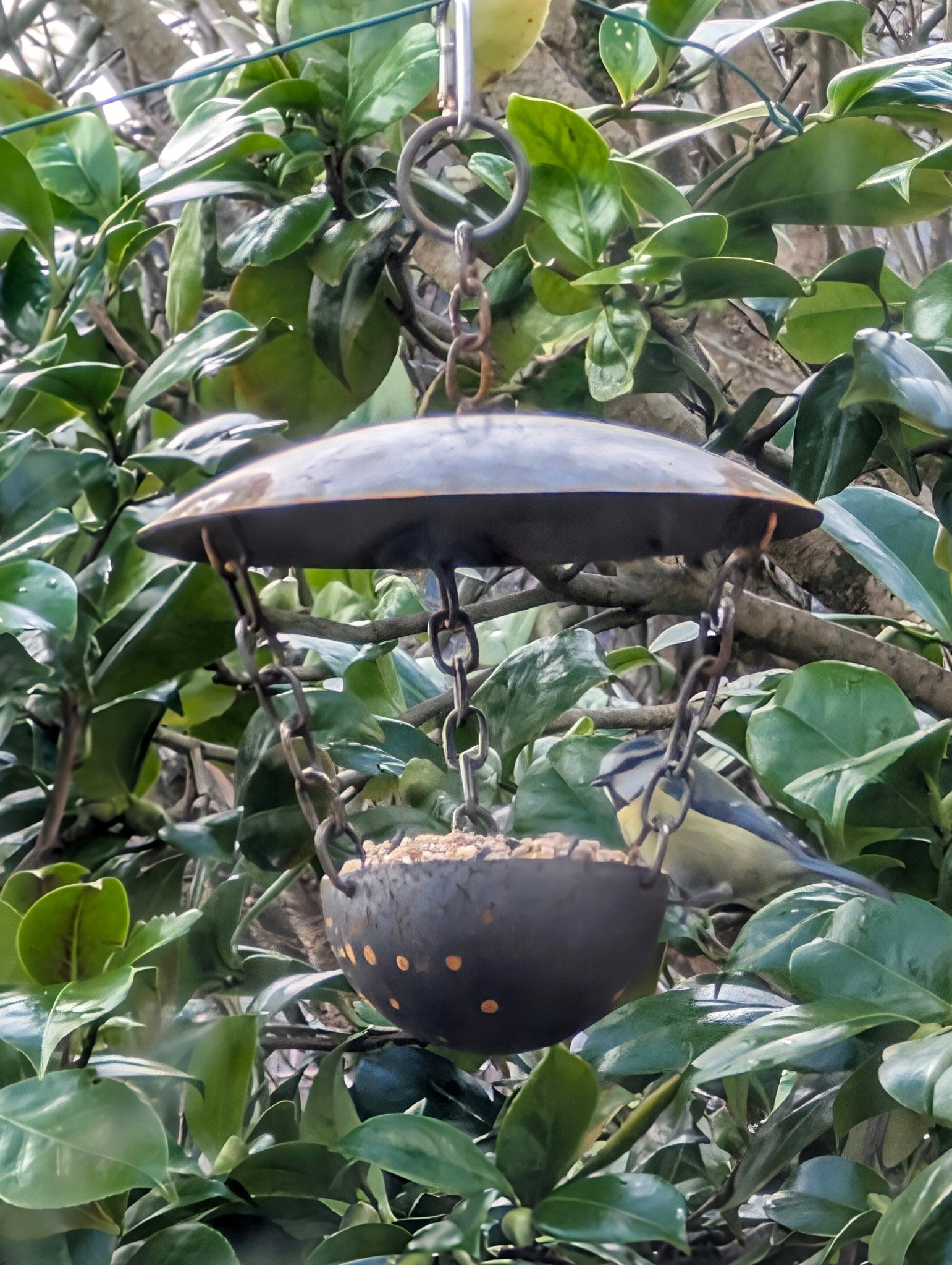 Chain Hanging Bird Feeder