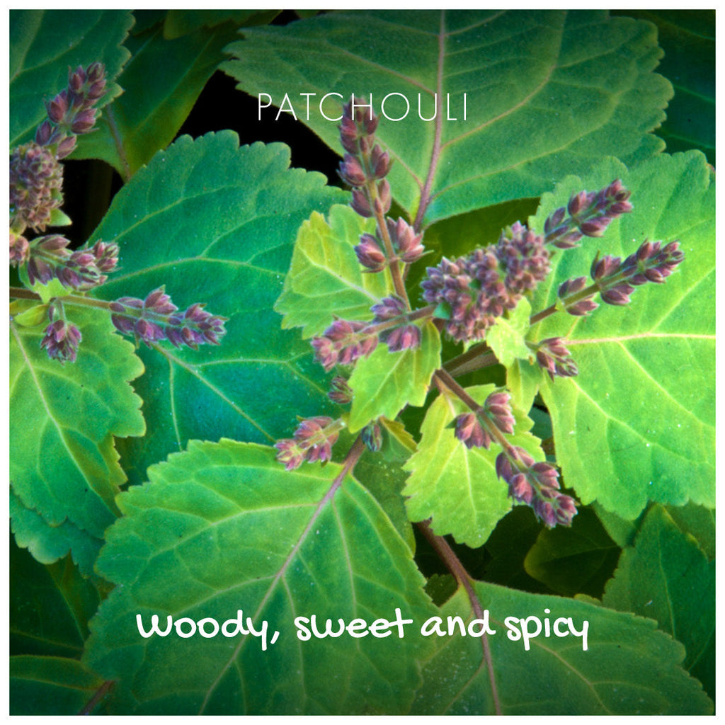 Natural Soap on Rope Woody Patchouli and Sandalwood 125g