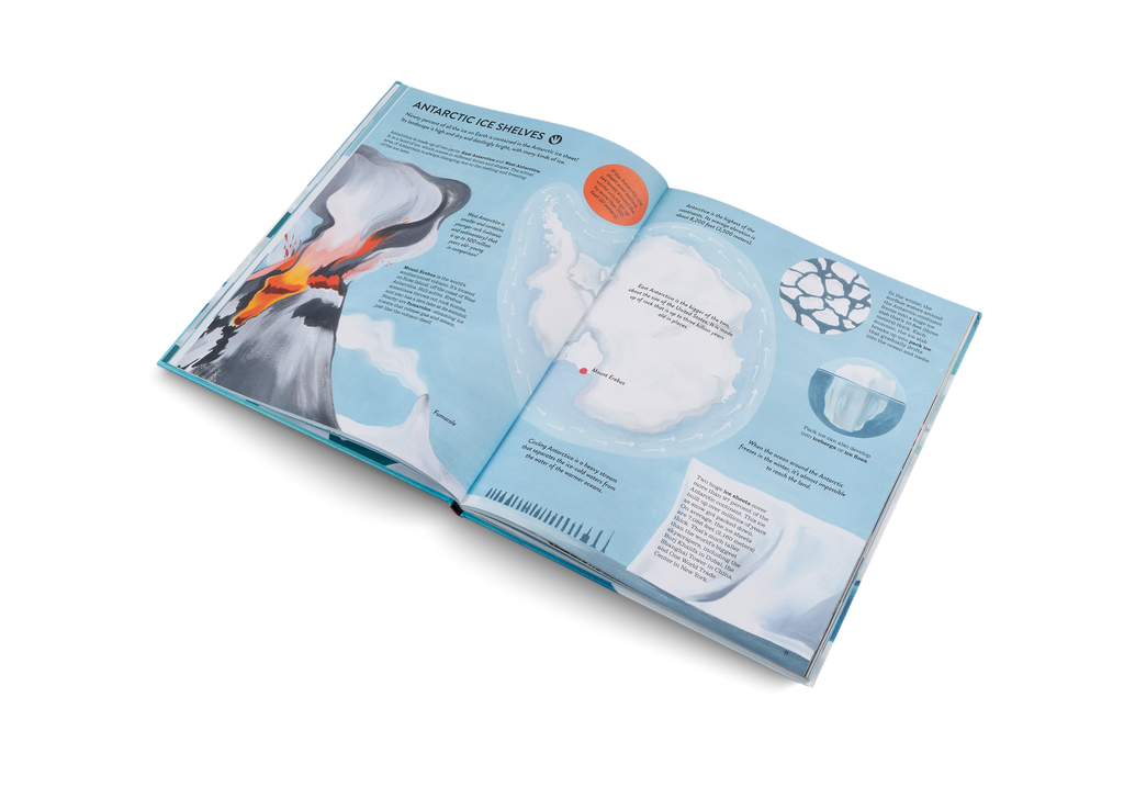 Penguins and Polar Bears Arctic Antarctic Guide