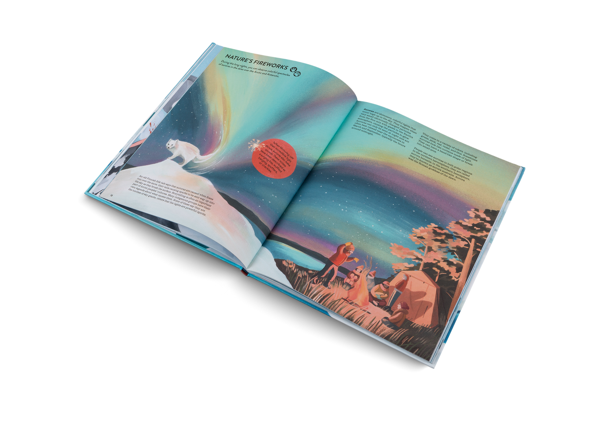 Penguins and Polar Bears Arctic Antarctic Guide