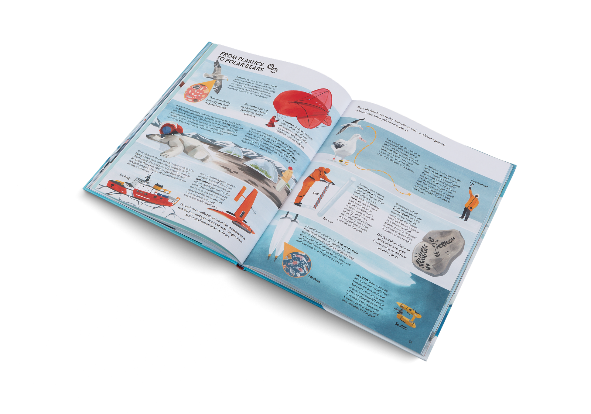 Penguins and Polar Bears Arctic Antarctic Guide
