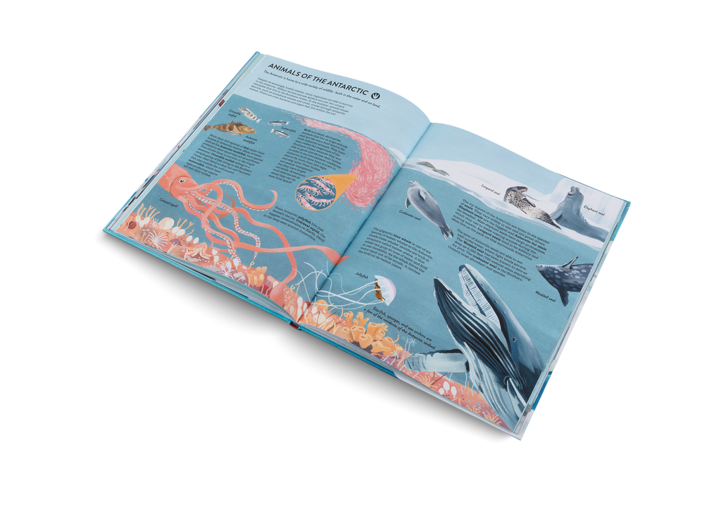 Penguins and Polar Bears Arctic Antarctic Guide