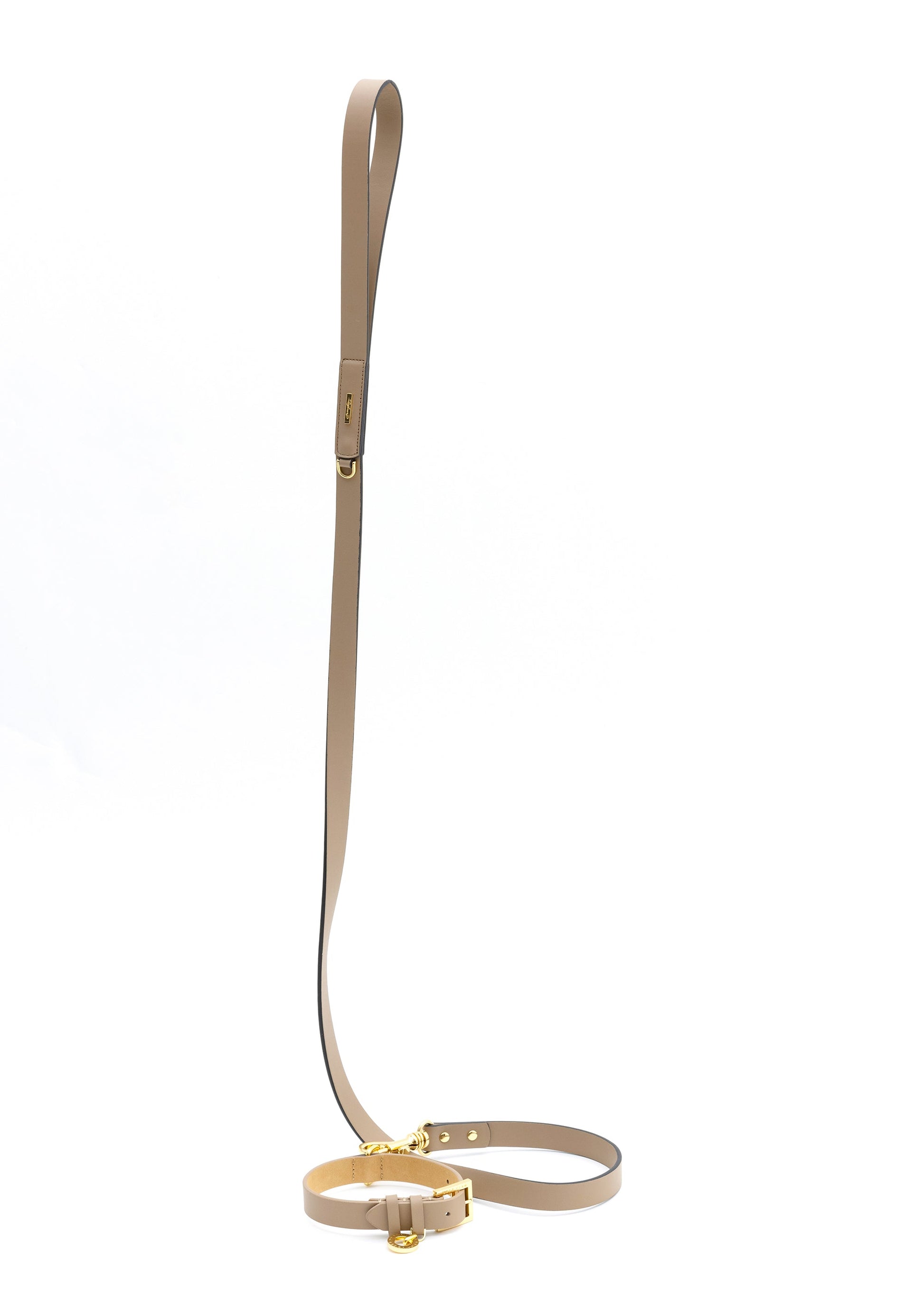 Premium Leather Lead and Collar Set