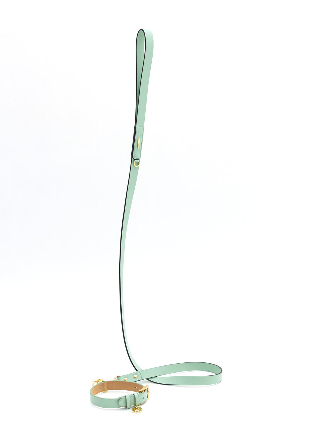 Premium Leather Lead and Collar Set