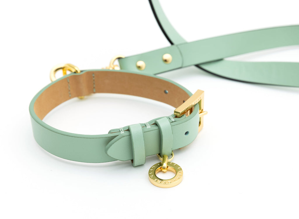 Premium Leather Lead and Collar Set