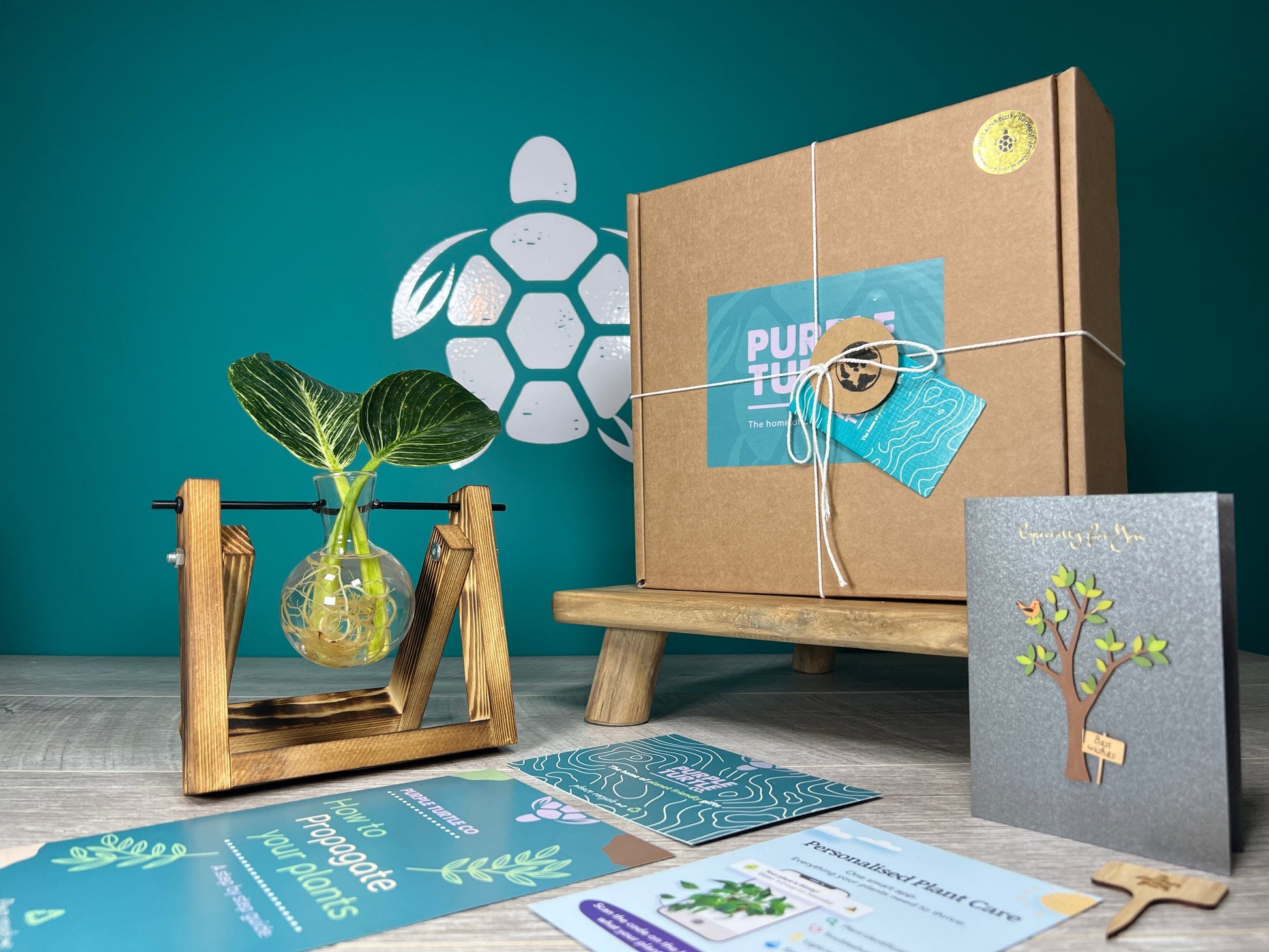 Plant Propagation Gift Set for Home Growing