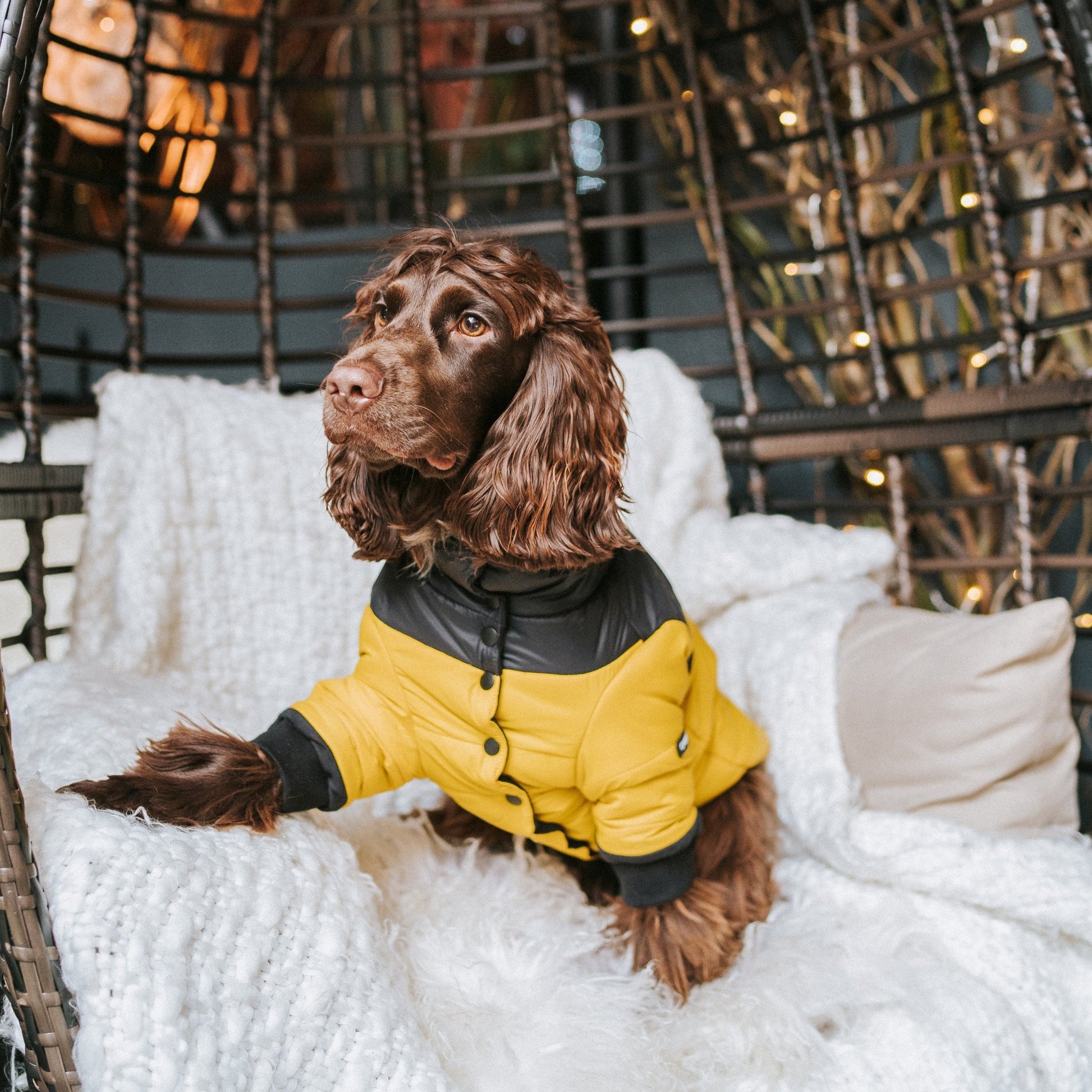 Contrast Button Up Puffer Ski Jacket
