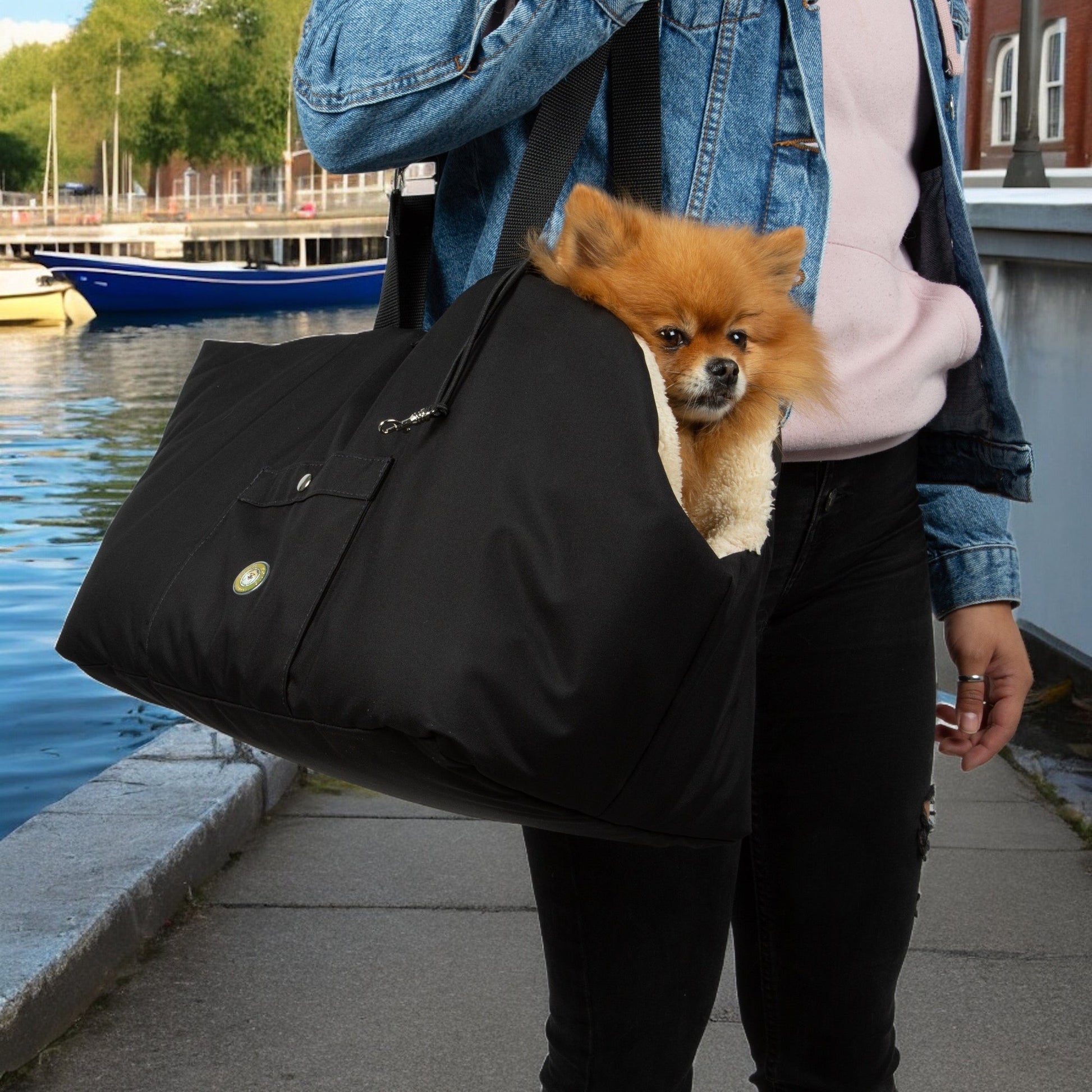 Black Luxury Rainy Bear Dog Carrier with Zipper