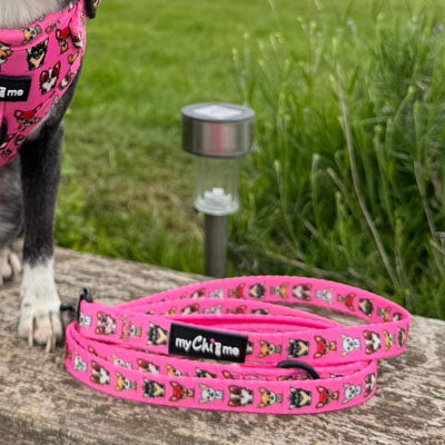 Signature Hot Pink Chihuahua Print Lead for Small Dogs