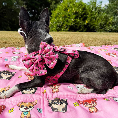 Signature Pink Sailor Bow for Chihuahuas and Small Dogs