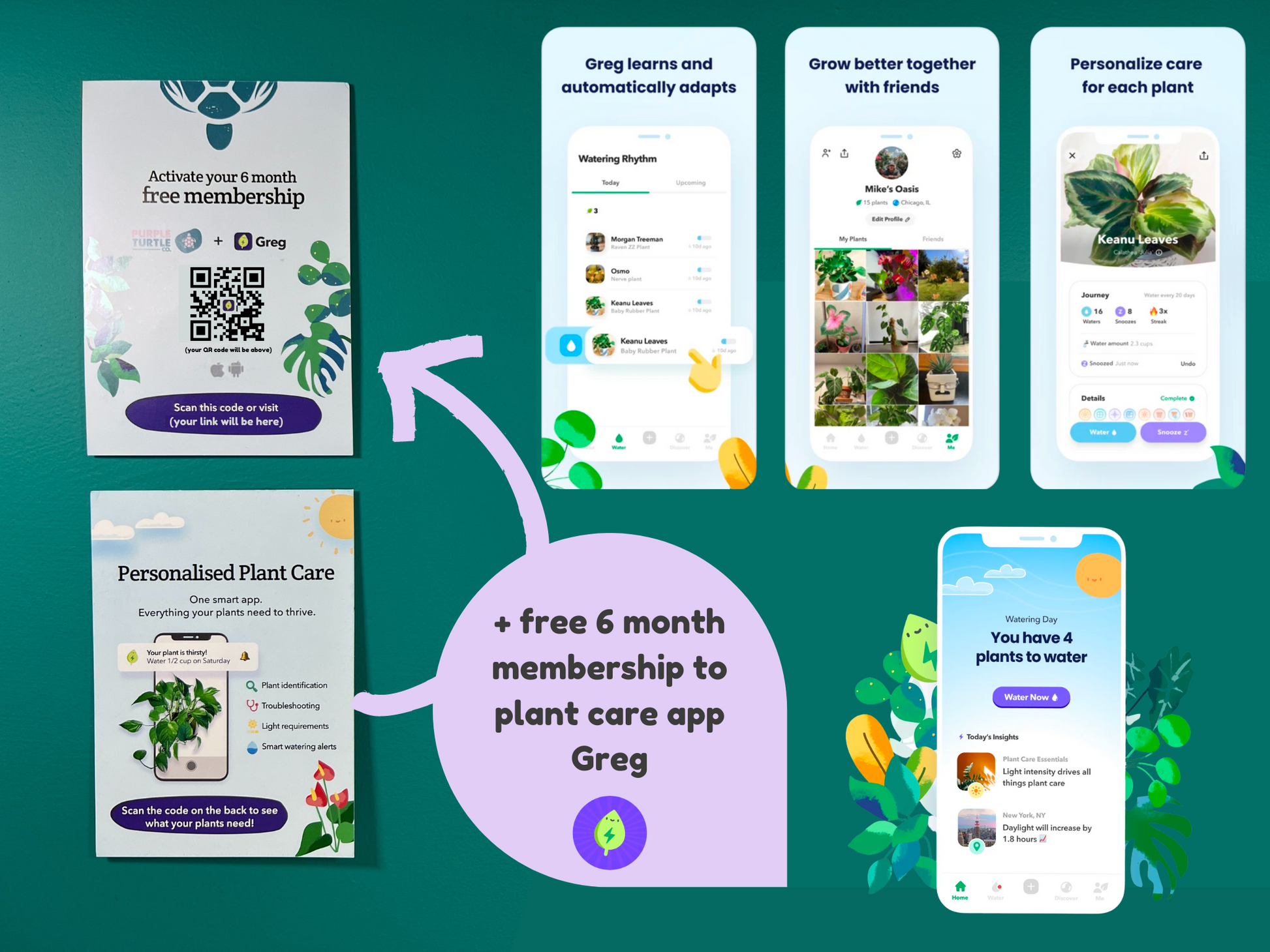 Plant Propagation Gift Set for Indoor Gardeners