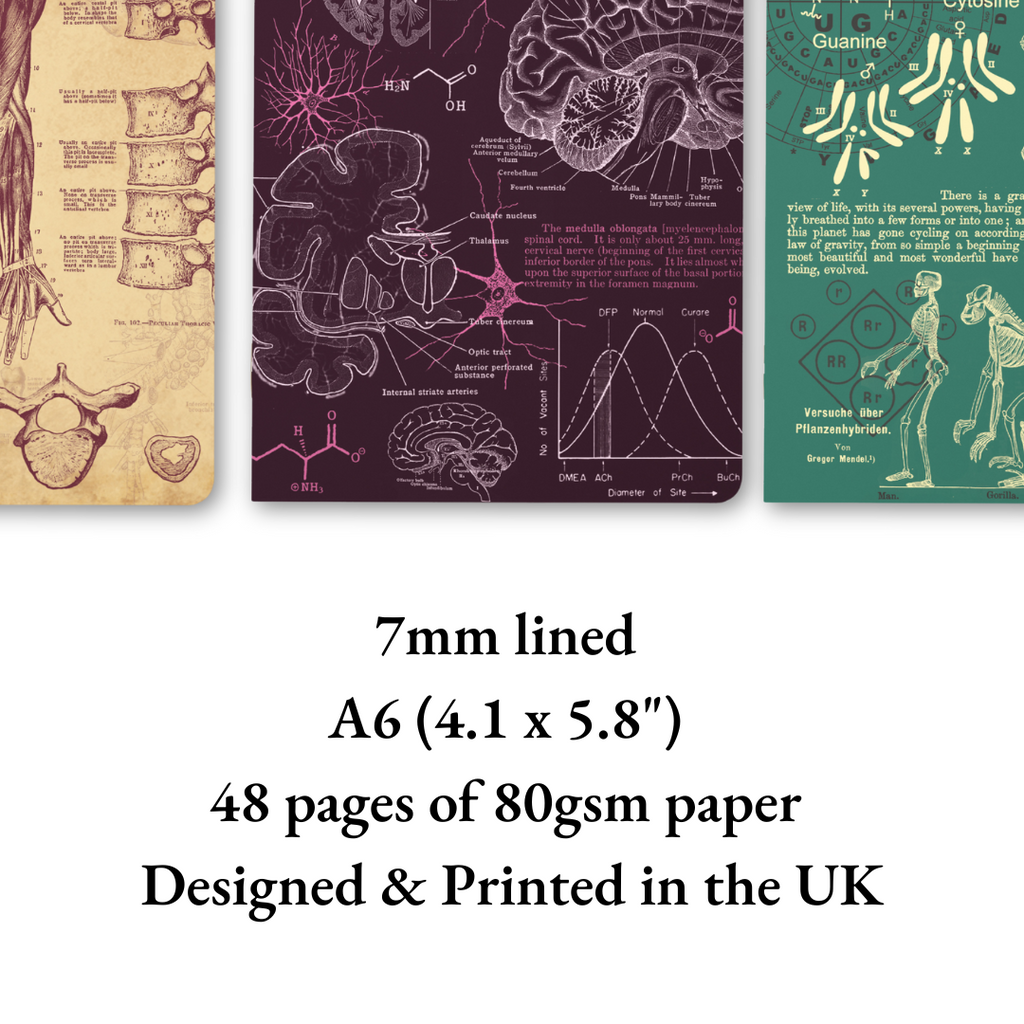 The Living Code Notebook Set Anatomy Neuroscience Evolution Genetics