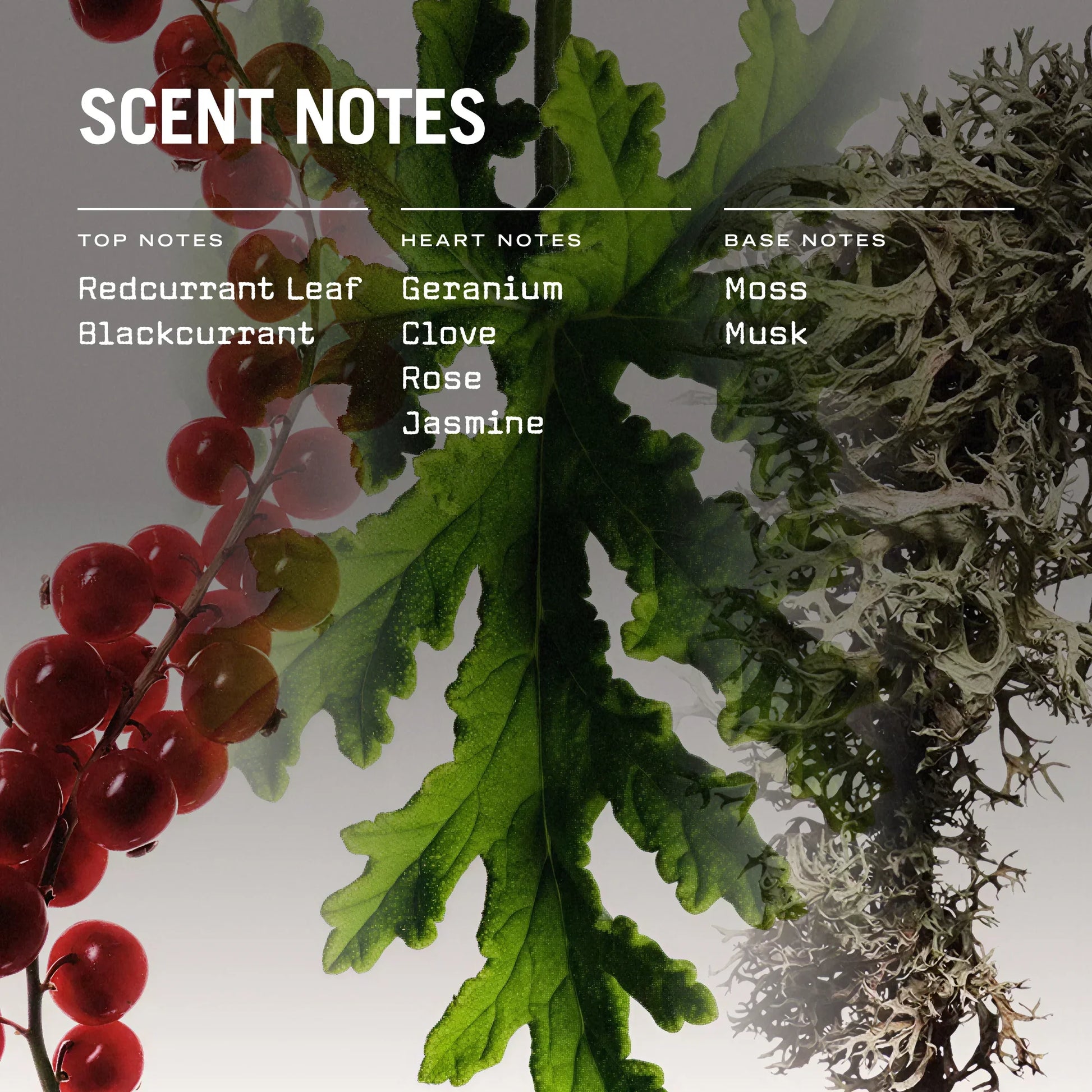 Red Lake 250g Scented Candle