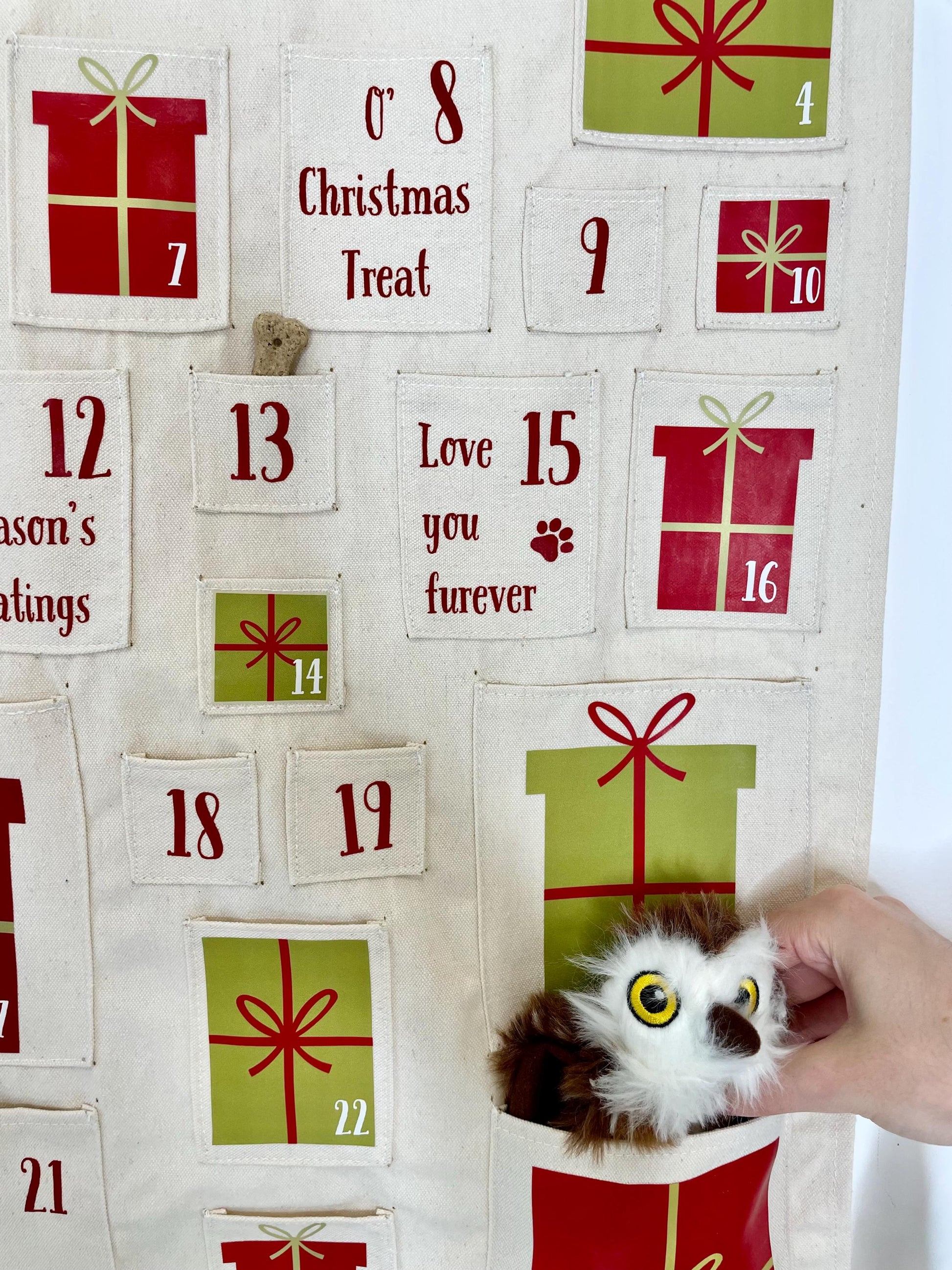 Personalised Pet Advent Calendar with Custom Name