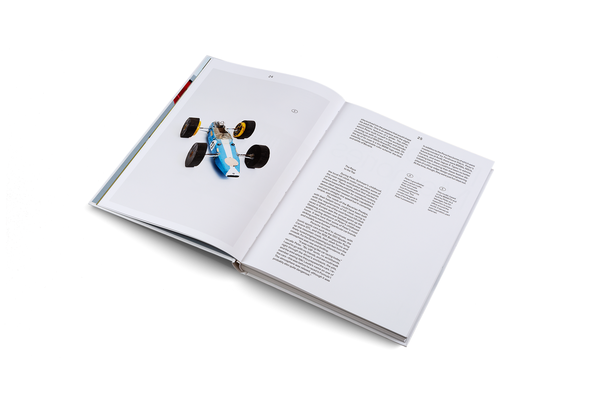 Roots and Wings Designer Artist Vision