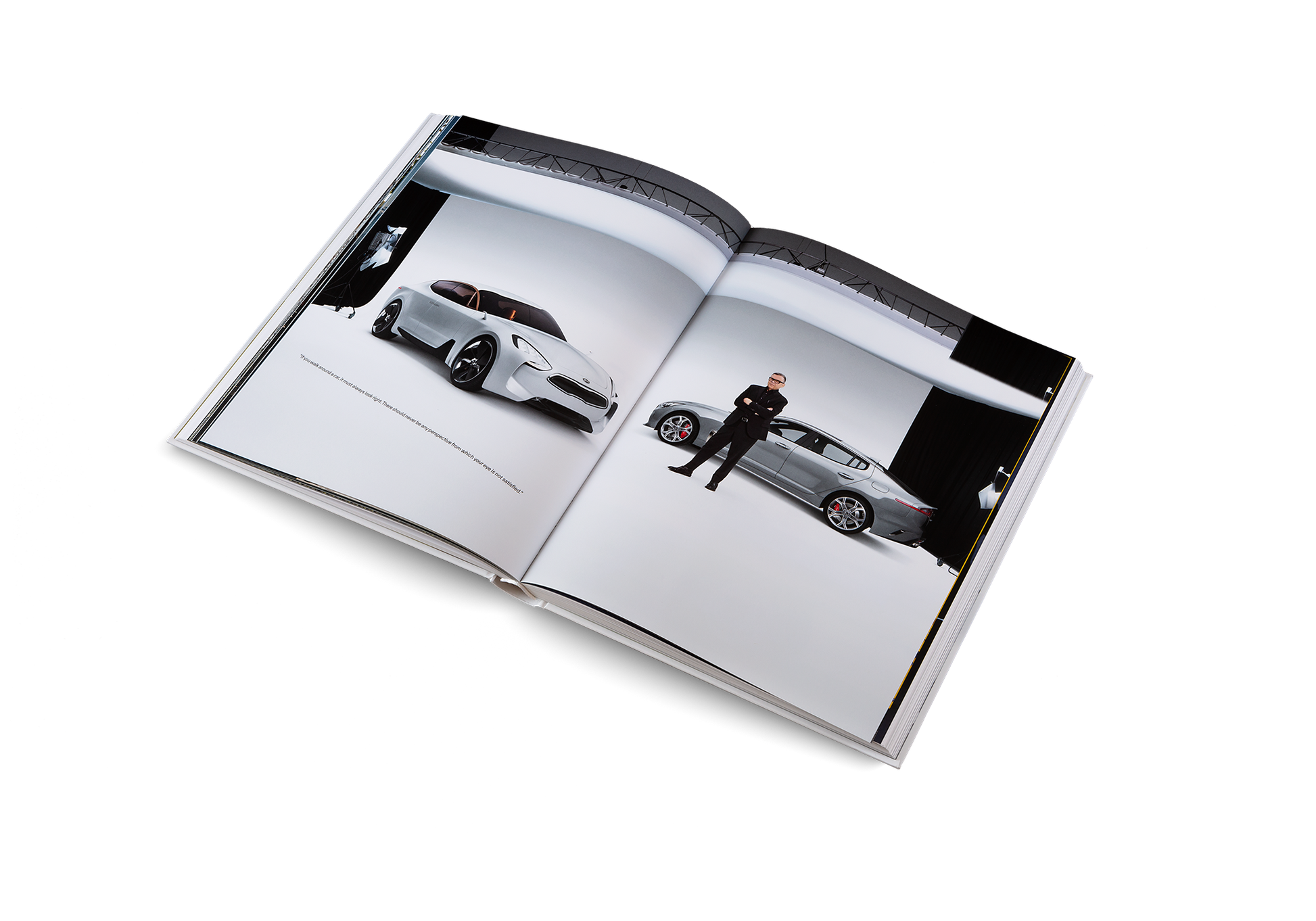 Roots and Wings Designer Artist Vision