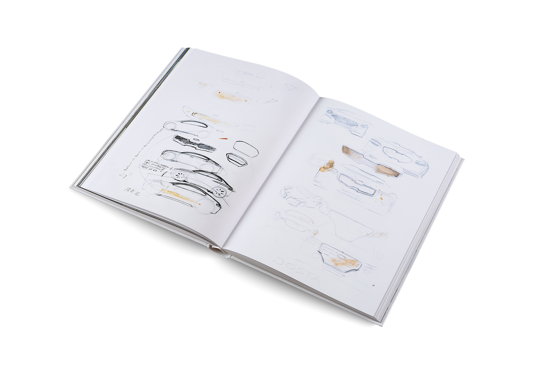 Roots and Wings Designer Artist Vision