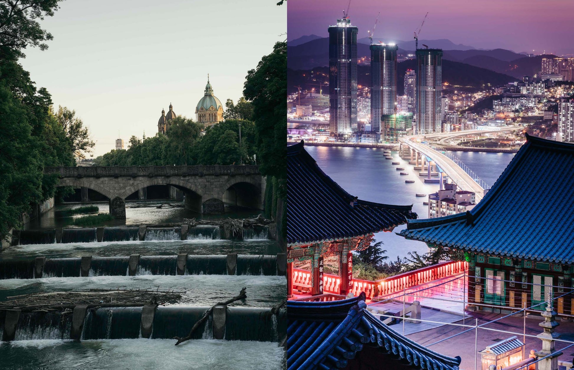 Roots and Wings Designer Artist Vision