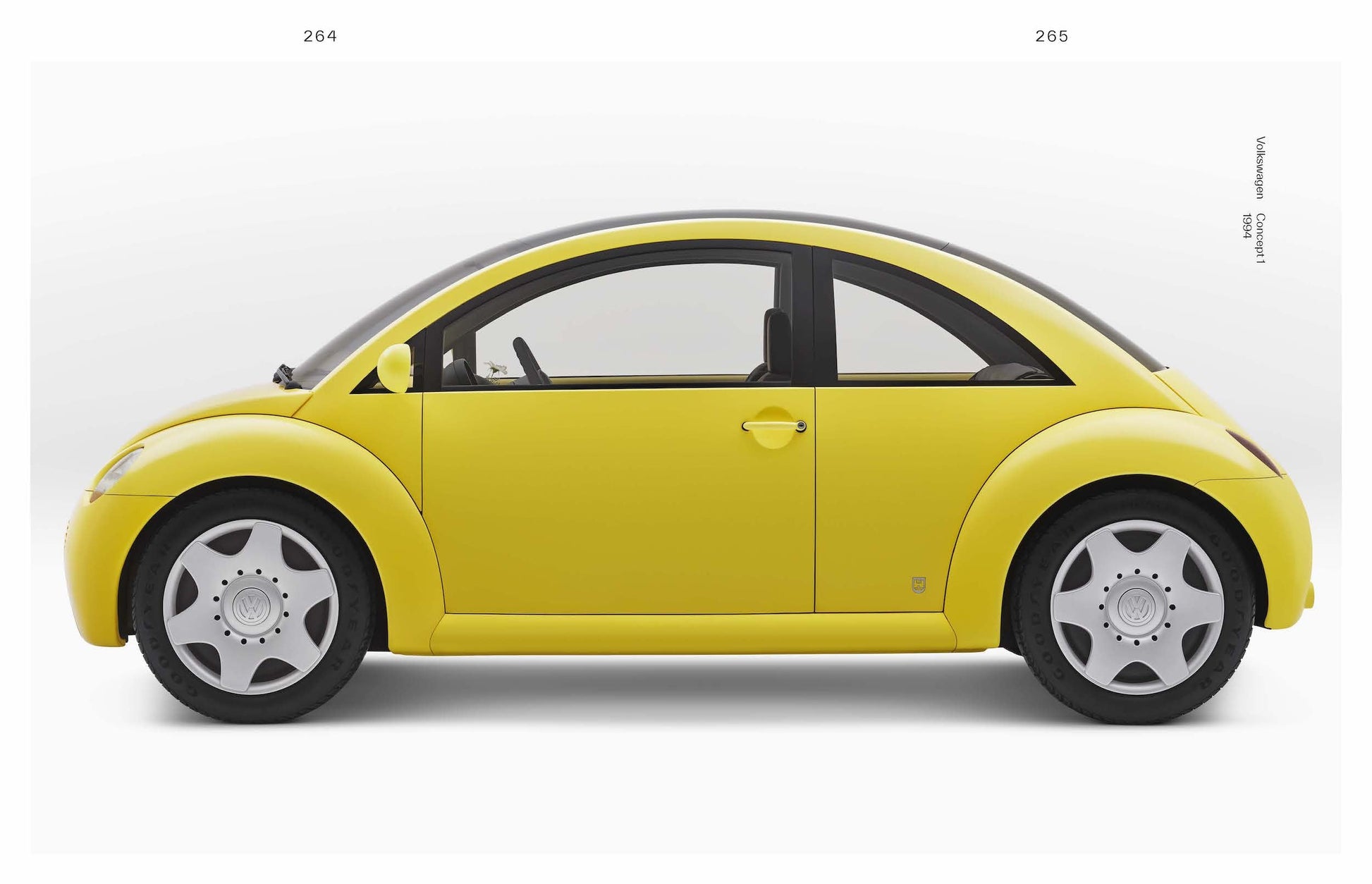 Roots and Wings Designer Artist Vision