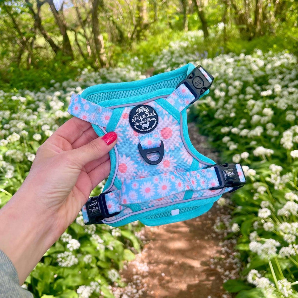 Pastel Daisy No Pull Dog Harness